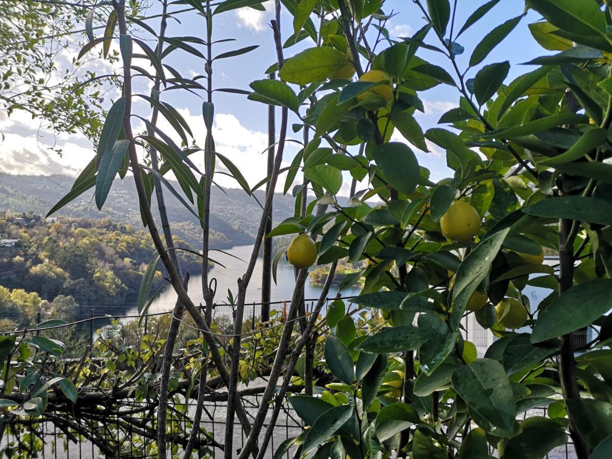 Vila Casa De Boucas São Pedro Exteriér fotografie